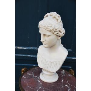 Bust D After Greco-roman Antiquity