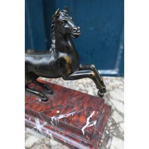 Cheval cabré en bronze , école italienne du XVIII