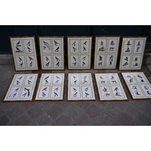 Suite de 10 planches de  40 gravures d oiseaux et singes