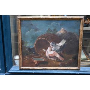 Jen baptiste Huet , entourage , couple de pigeons école XVIII