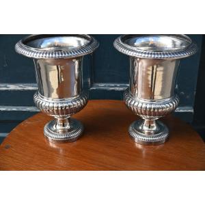 Pair Of Medici Vases, Forming Flower Pots In Louis XVI Silvered Bronze