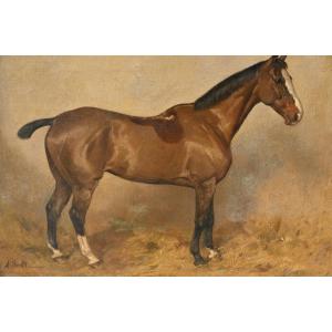 Horse At The Stable , Canvas XIX