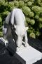 1805164-alb-6a749b91b47bd.jpg