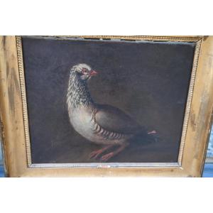 Perdrix , huile sur toile XVIII