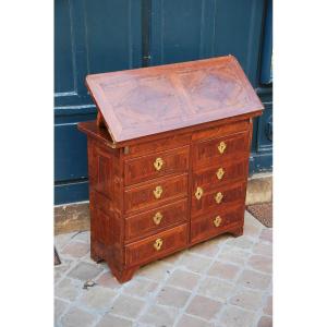 Meuble De Changeur  En Bois De Violette  Louis XIV