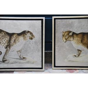 Lacquer Panels With Gold Background, Pair Of Panthers XX