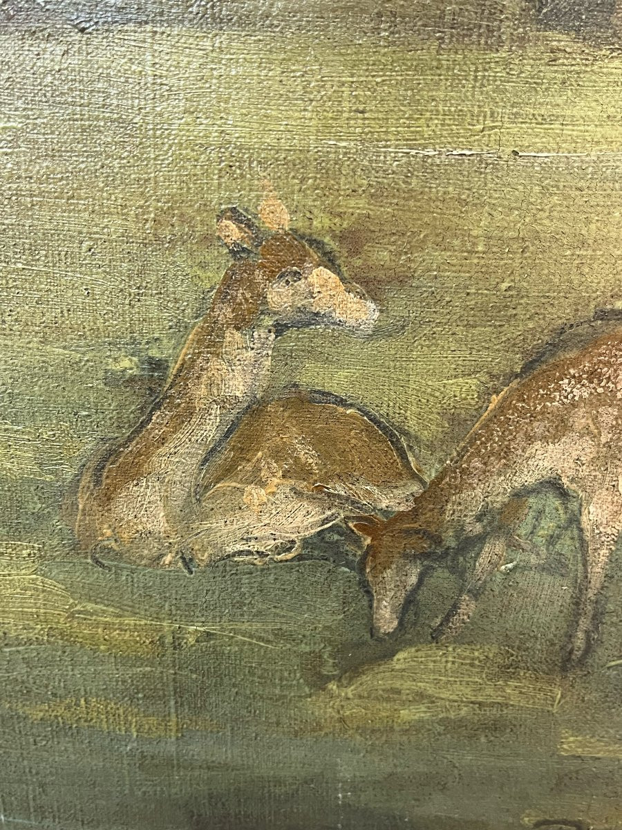 Paysage avec biches, signé Adrien Bas 1911, huile sur toile, 100x81cm, sans cadre-photo-4