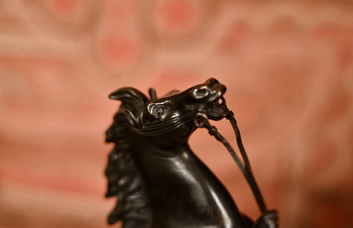 Chevaux de Marly  en bronze  d'après Coustou-photo-1