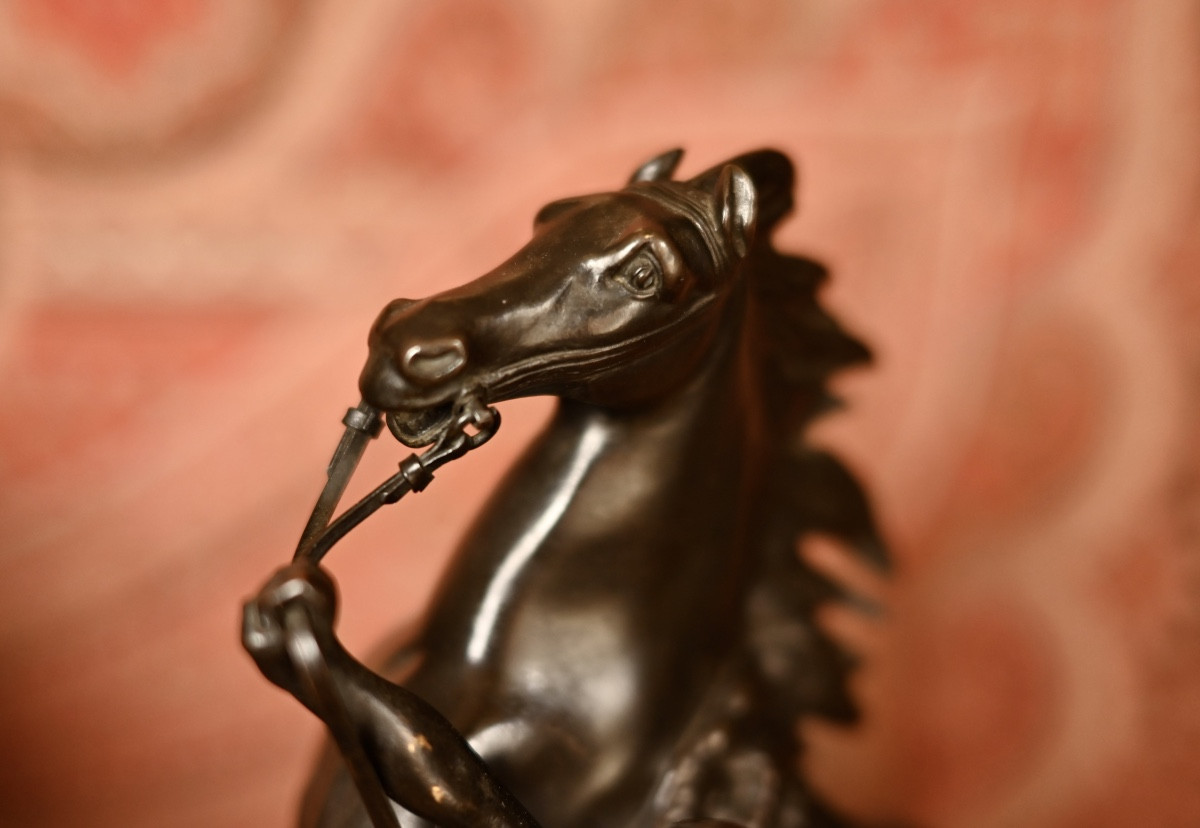 Chevaux de Marly  en bronze  d'après Coustou-photo-2