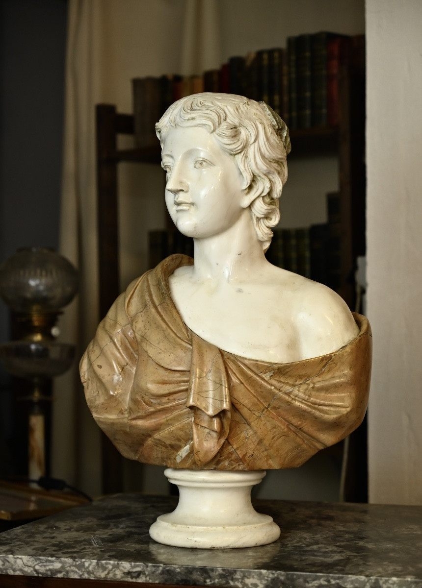 Buste en marbre XIX ème