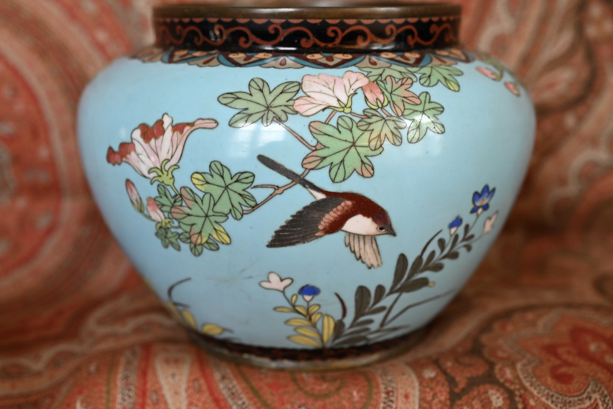 Cache pot cloisonné XIX ème-photo-4
