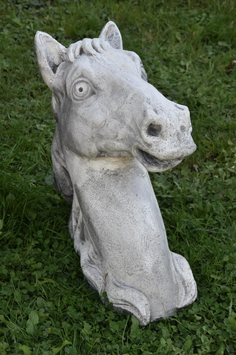 Horse's Head