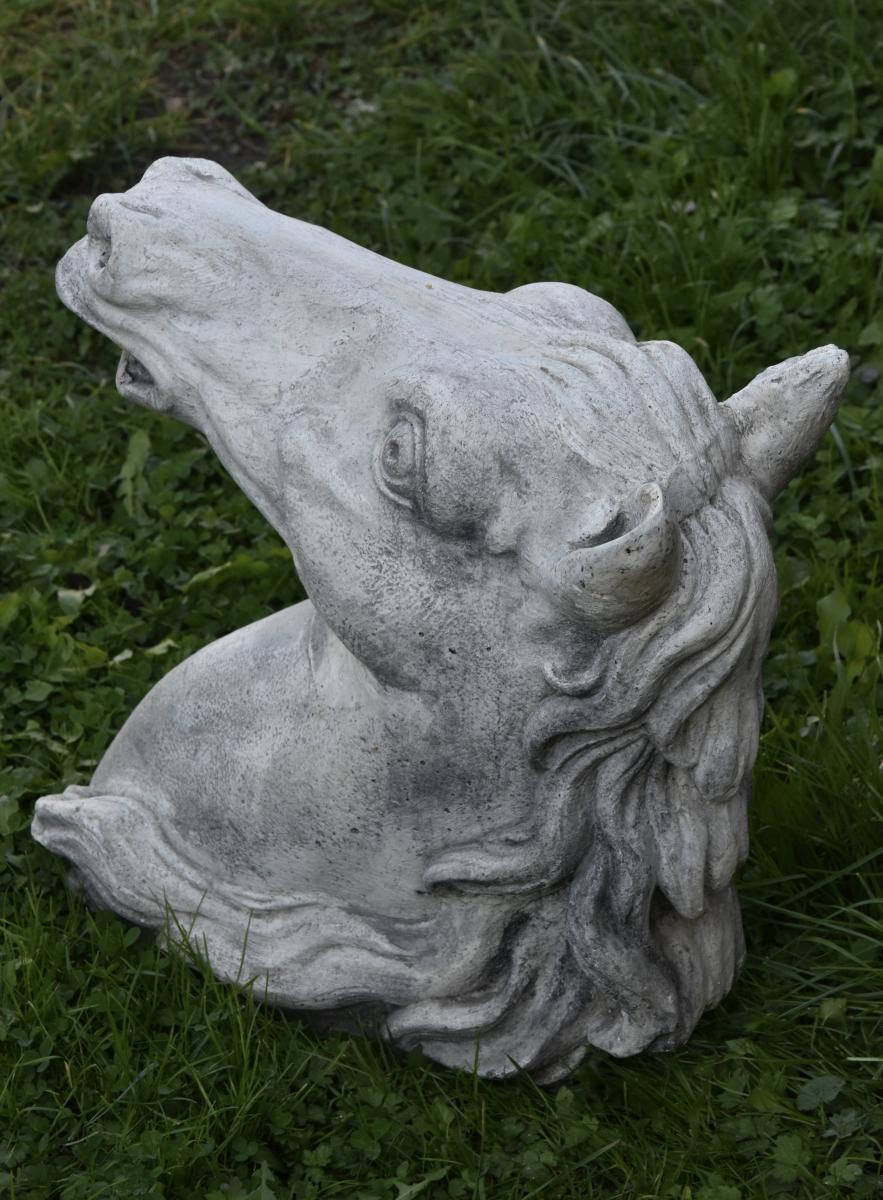 Horse's Head-photo-2