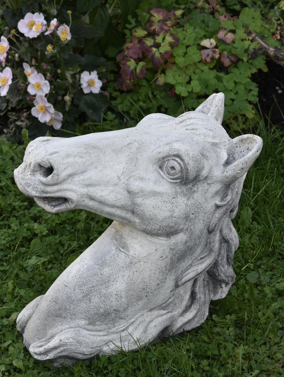 Horse's Head-photo-3