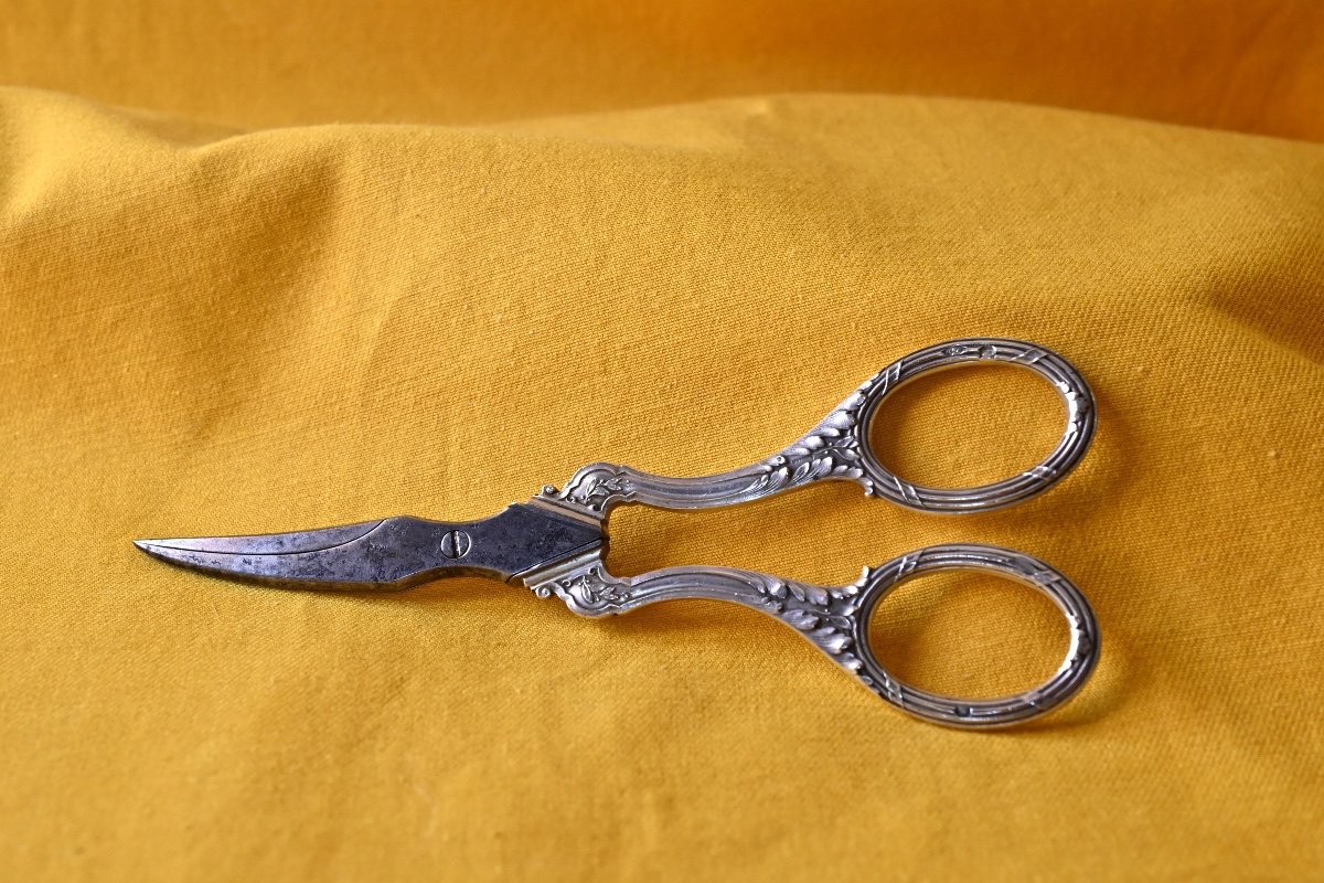 Pair Of Grape Scissors Silver XIX-photo-2