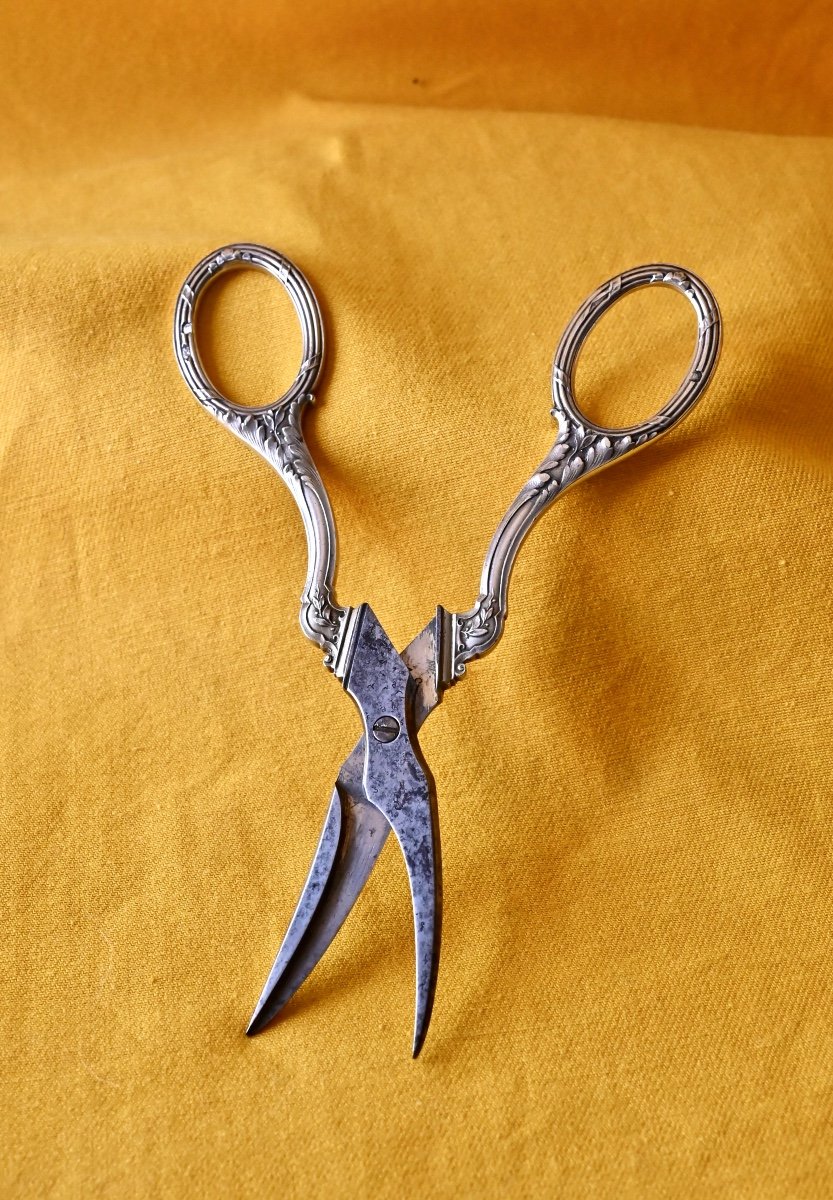 Pair Of Grape Scissors Silver XIX-photo-3