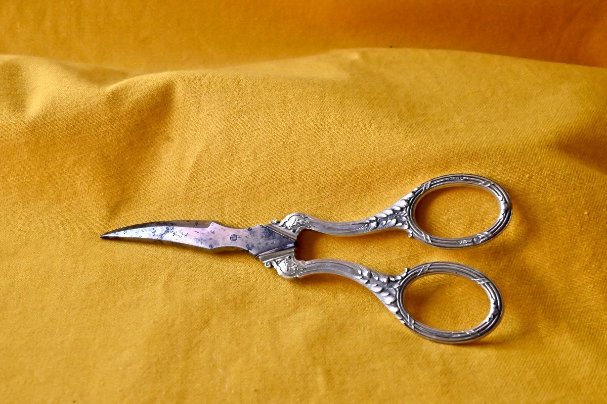 Pair Of Grape Scissors Silver XIX
