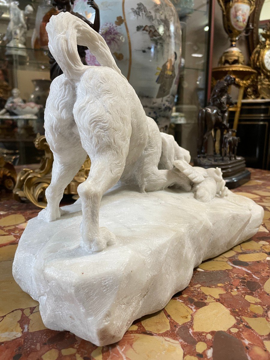 Sculpture "dog With Prey" In Carrara Marble 19thc.-photo-2