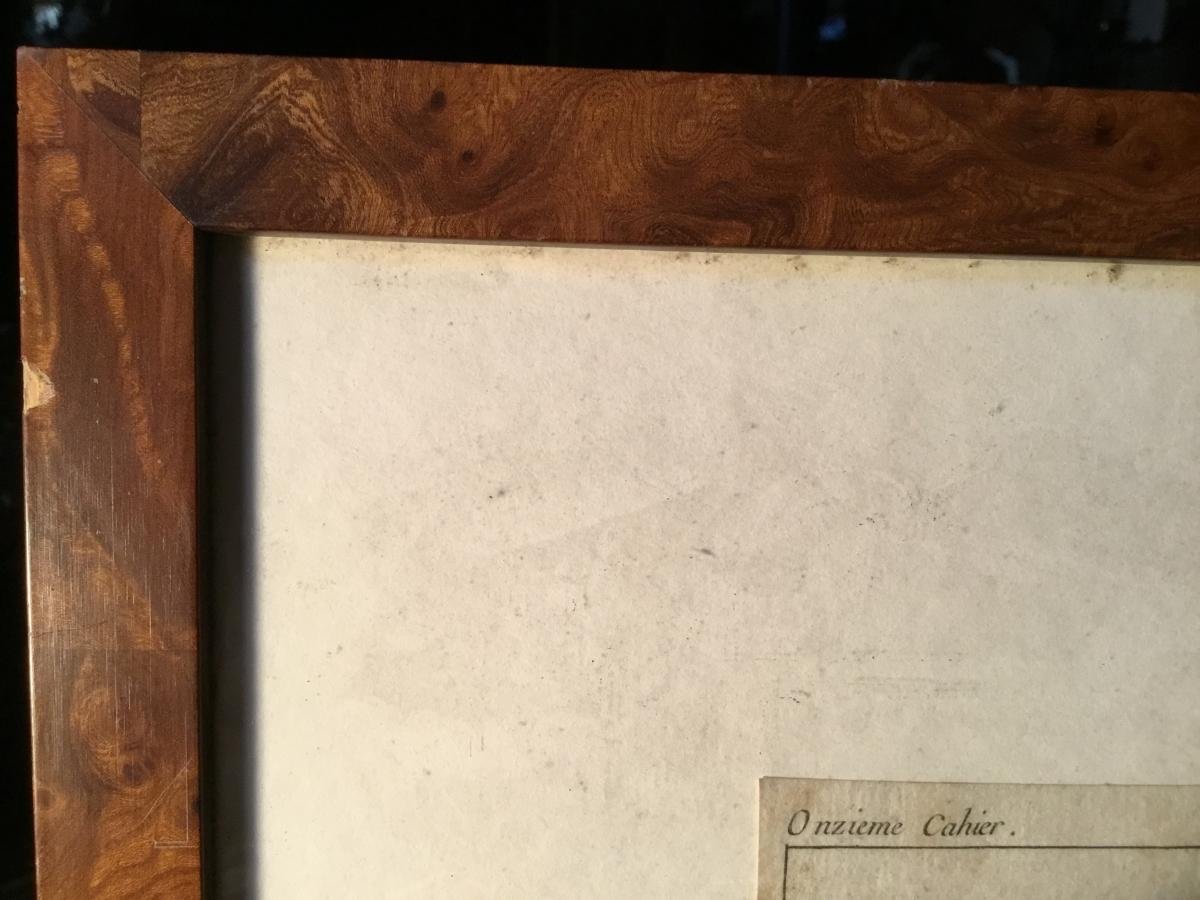 Two Engravings 18th Century L.m. Bonnet-photo-8