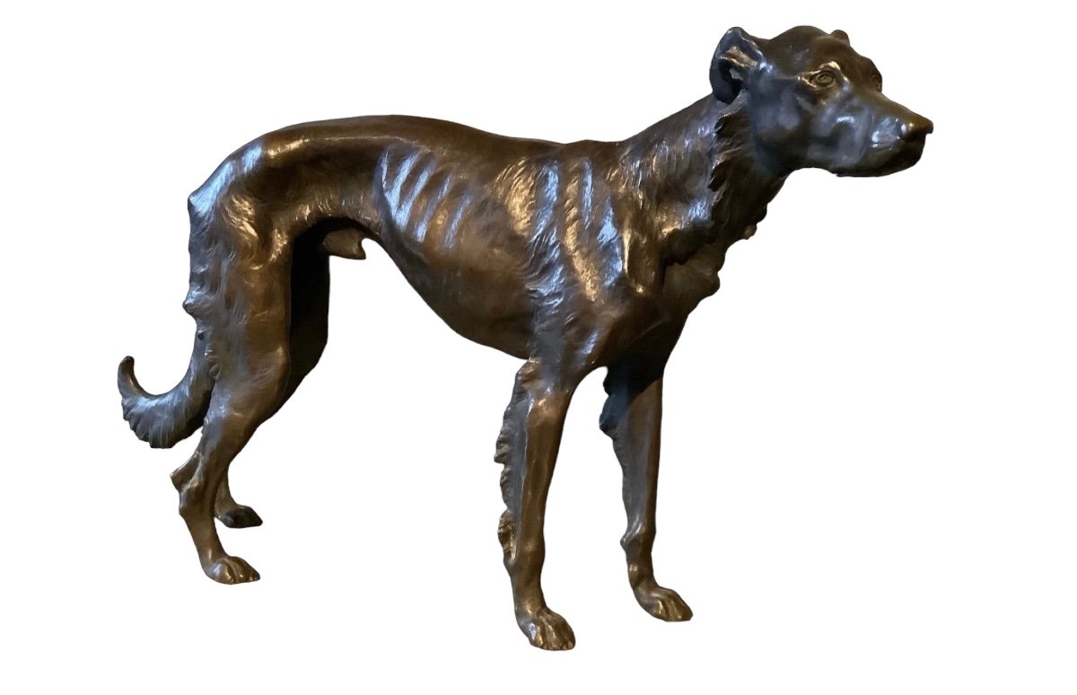 Bronze Greyhound From The 1930s Width 40cm -photo-2