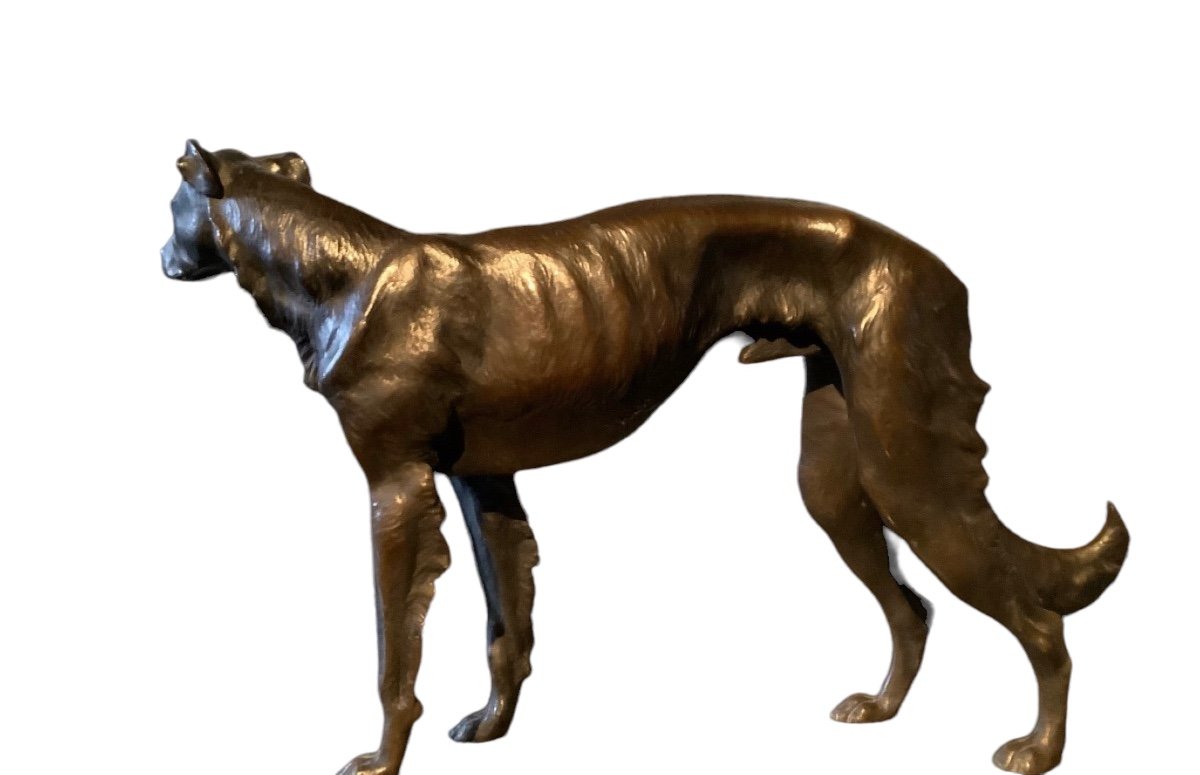 Bronze Greyhound From The 1930s Width 40cm -photo-3