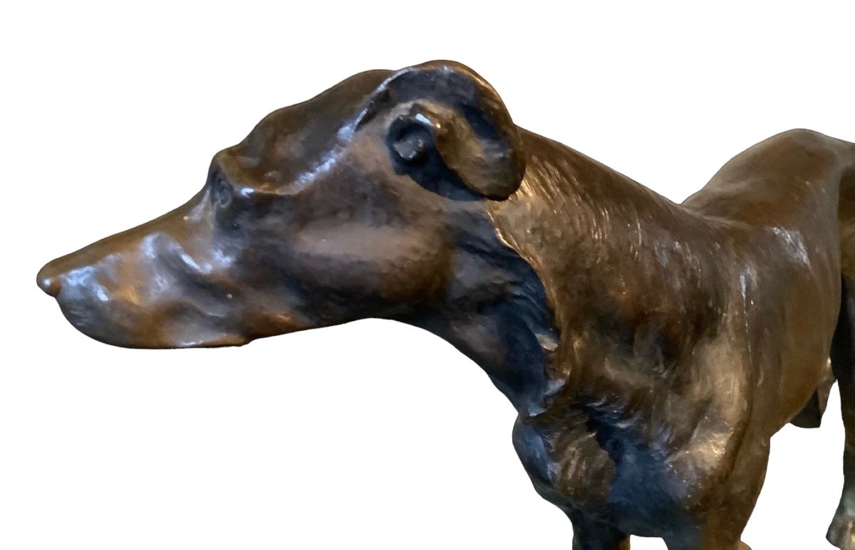 Bronze Greyhound From The 1930s Width 40cm -photo-1