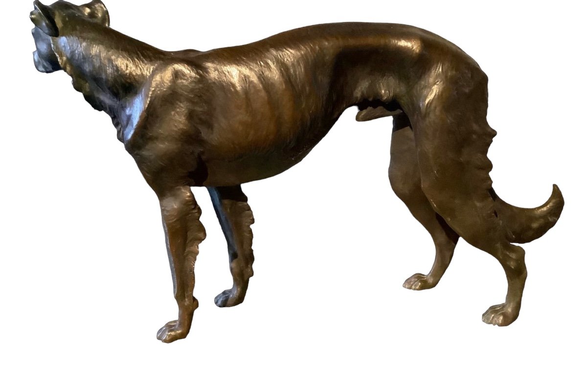 Bronze Greyhound From The 1930s Width 40cm -photo-2