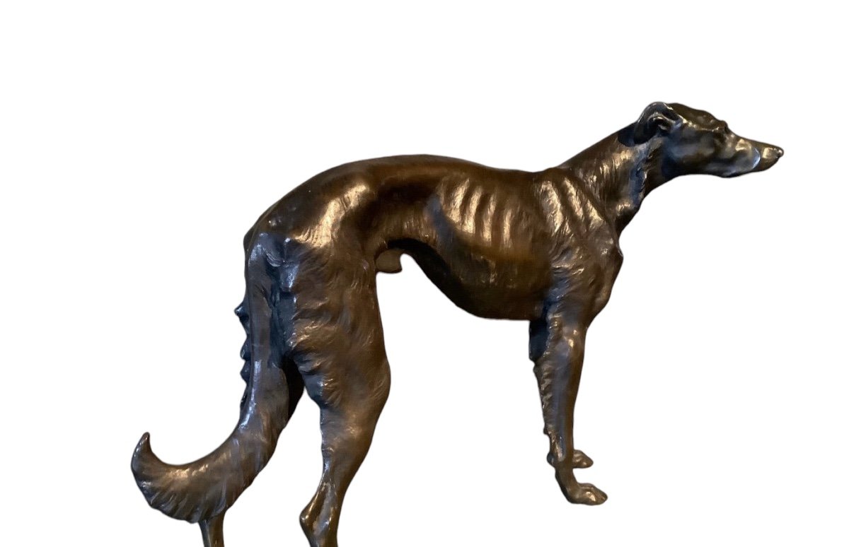 Bronze Greyhound From The 1930s Width 40cm -photo-5