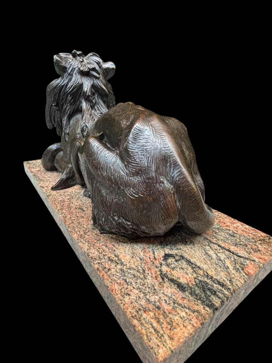 Large Bronze Sculpture "lying Lion With Prey" 19th Century.-photo-5