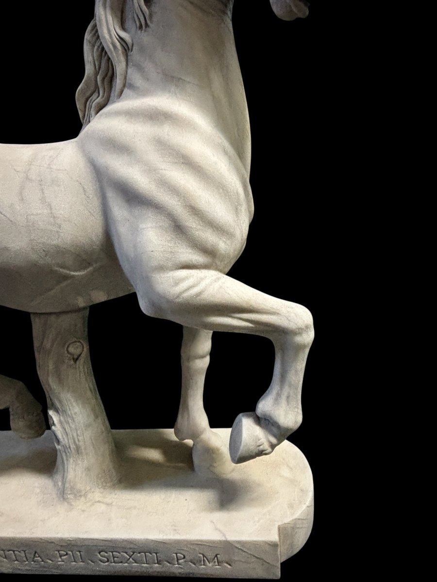 Elégante Sculpture De Cheval En Marbre Blanc 20ème.-photo-2