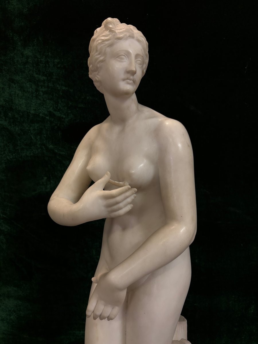 Jolie sculpture " Vénus " en albâtre 19ème. ( 79 cm )-photo-4