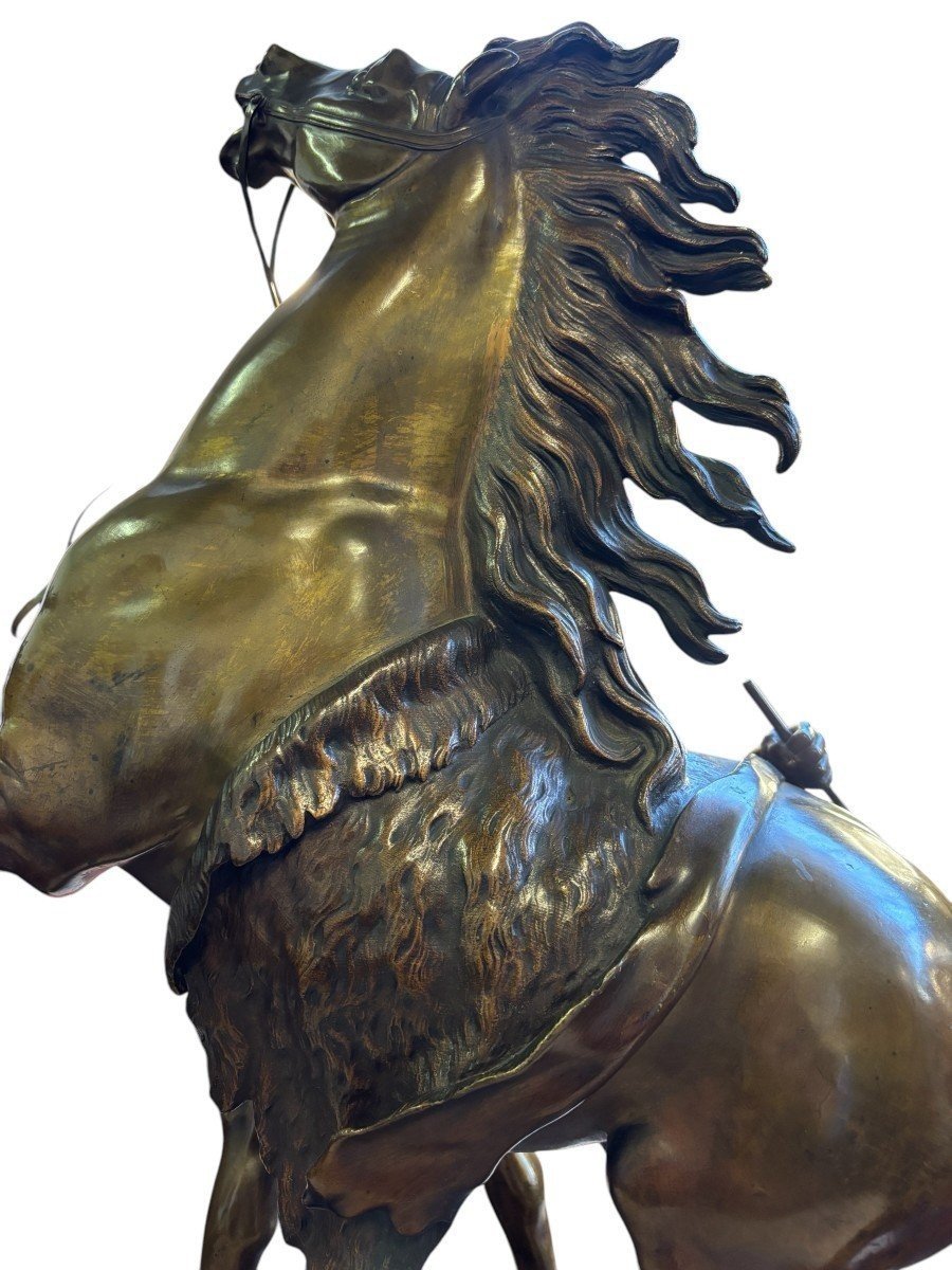 Bronze Sculpture By Guillaume Coustou "the Horse Of Marly" 19th Century.-photo-3