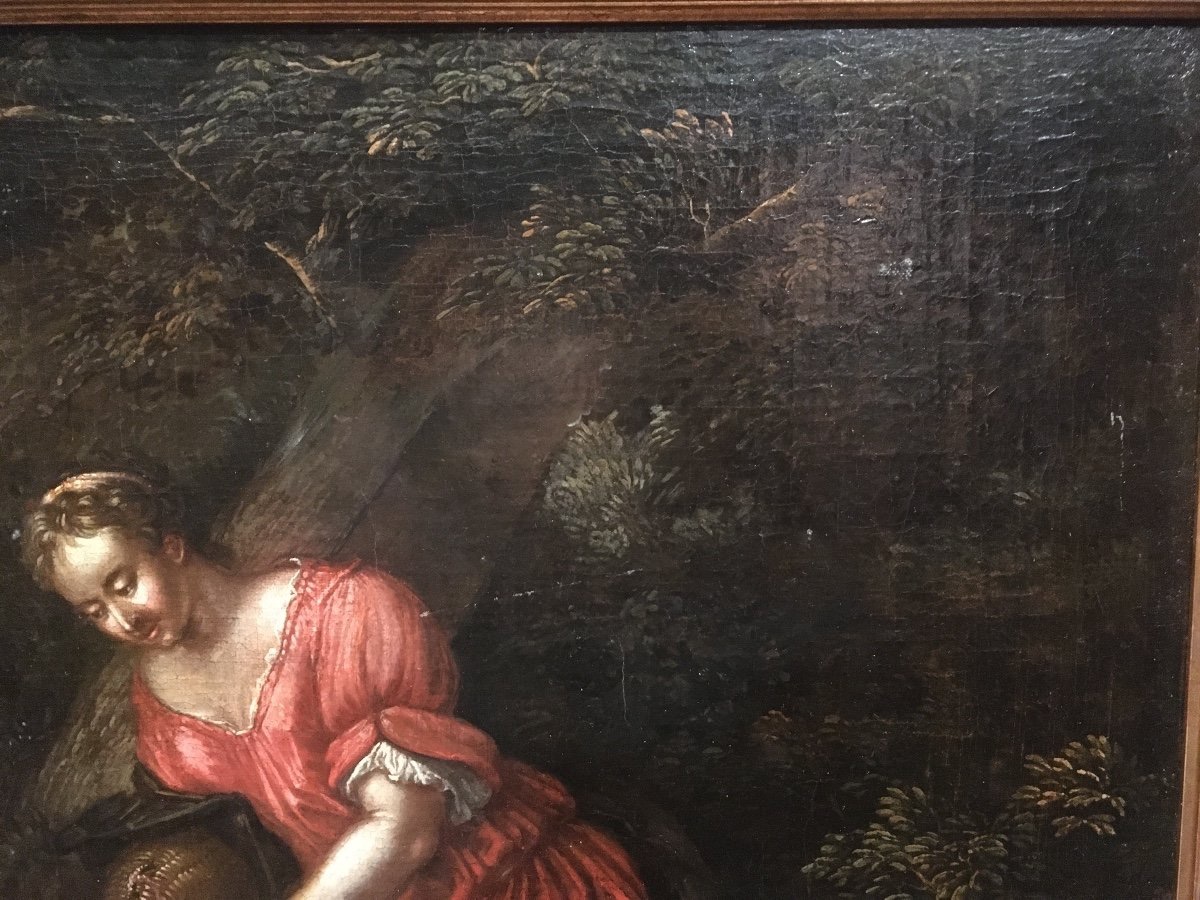 17th Century Dutch School Painting -photo-4