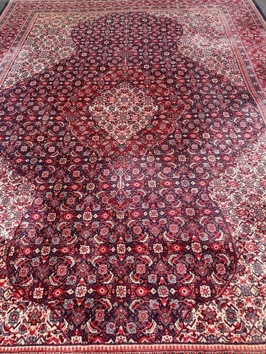 Grande Tapis Senneh En Laine, Iran, 20ème. ( 271 X 382 Cm )-photo-4