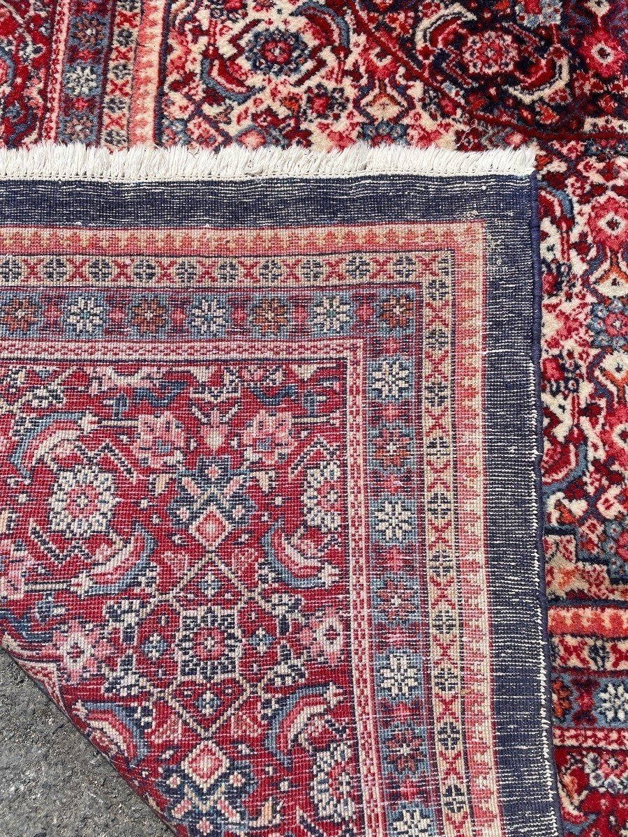 Grande Tapis Senneh En Laine, Iran, 20ème. ( 271 X 382 Cm )-photo-1