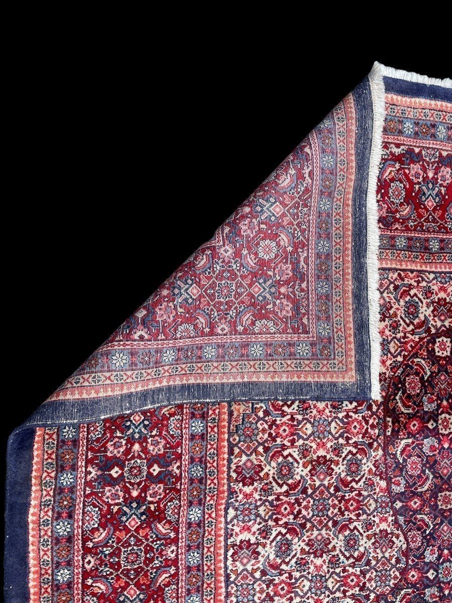 Grande Tapis Senneh En Laine, Iran, 20ème. ( 271 X 382 Cm )-photo-3