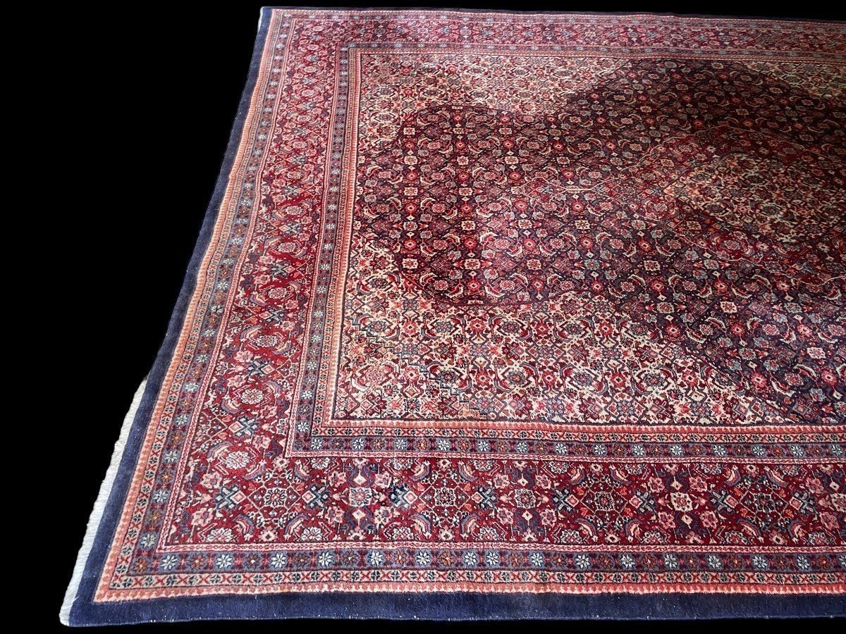 Grande Tapis Senneh En Laine, Iran, 20ème. ( 271 X 382 Cm )-photo-5