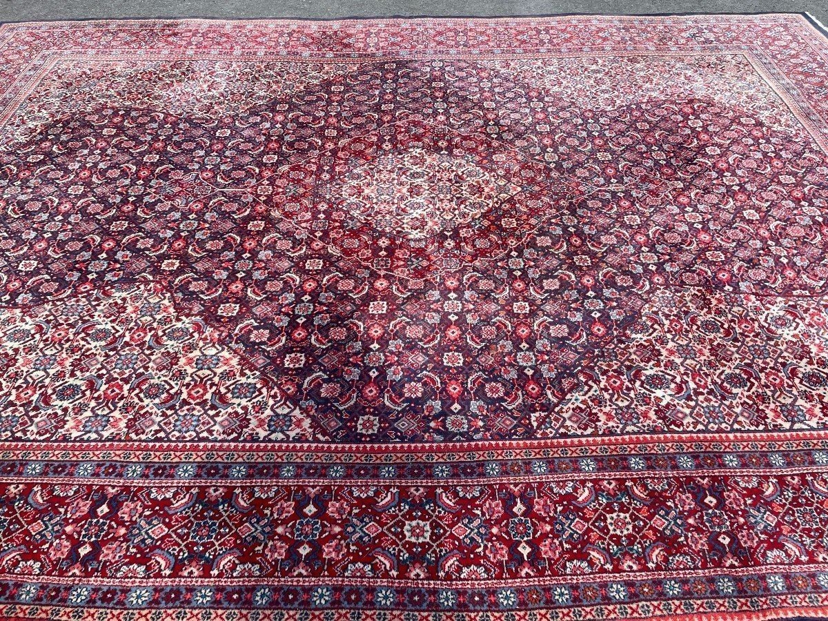 Grande Tapis Senneh En Laine, Iran, 20ème. ( 271 X 382 Cm )-photo-6