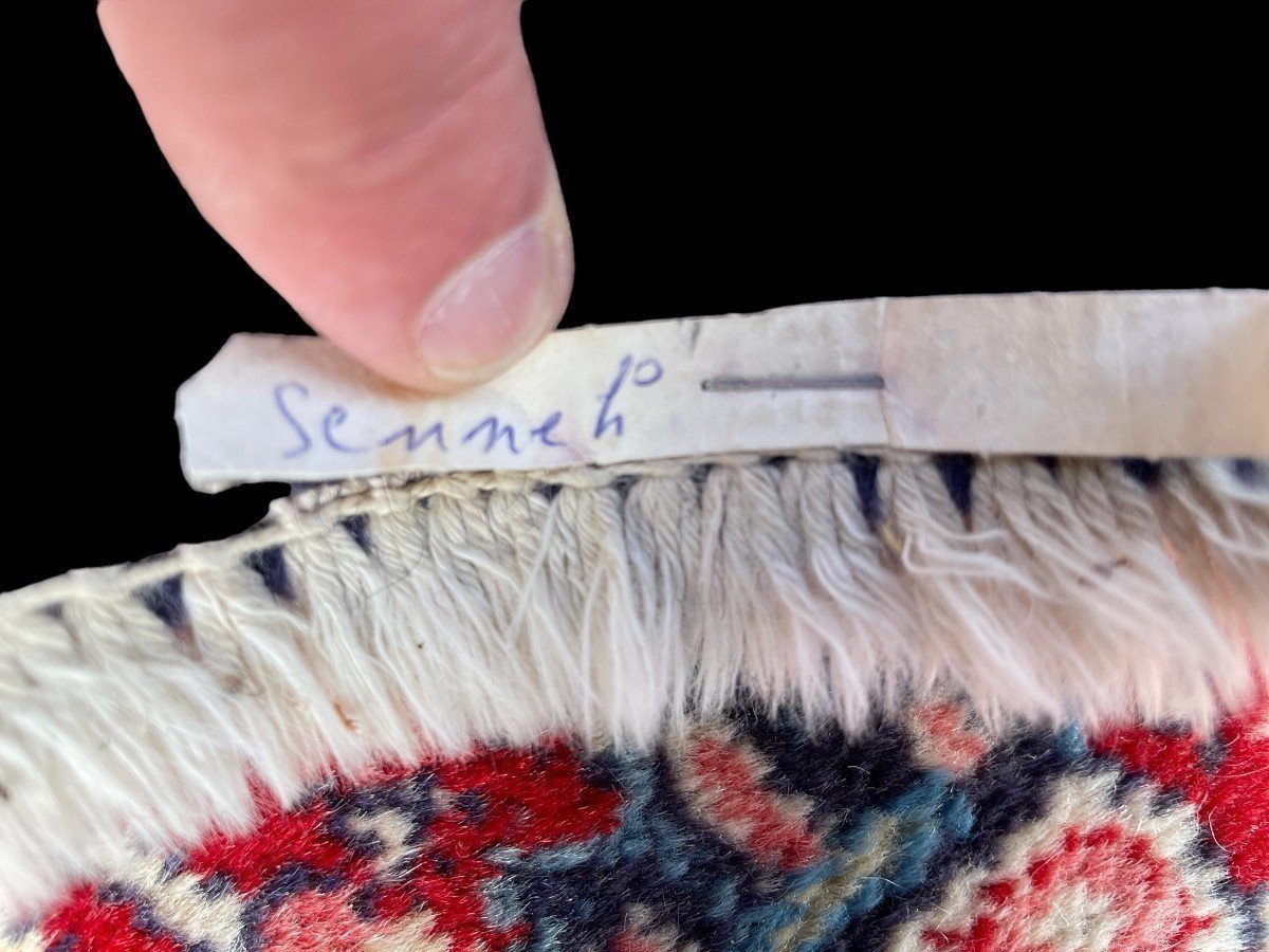 Grande Tapis Senneh En Laine, Iran, 20ème. ( 271 X 382 Cm )-photo-7