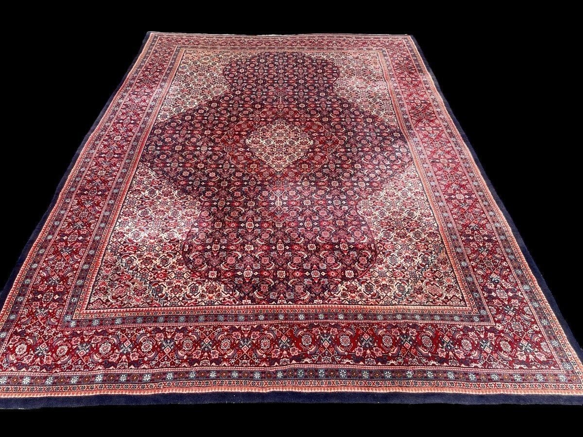Grande Tapis Senneh En Laine, Iran, 20ème. ( 271 X 382 Cm )