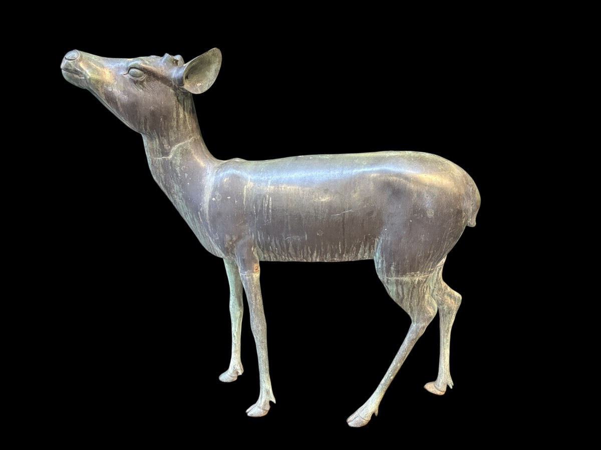 A Very Beautiful Pair Of 19th-century Bronze Deer.-photo-4