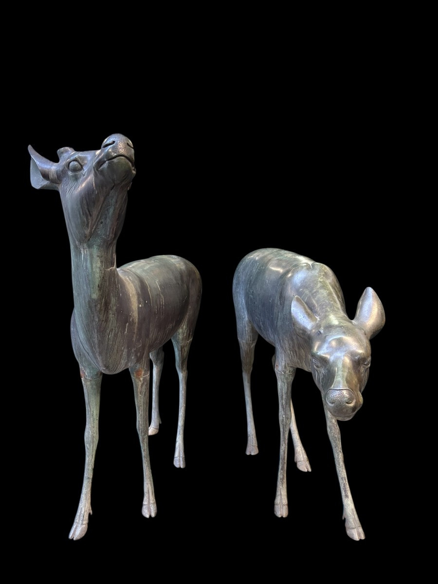 A Very Beautiful Pair Of 19th-century Bronze Deer.-photo-5
