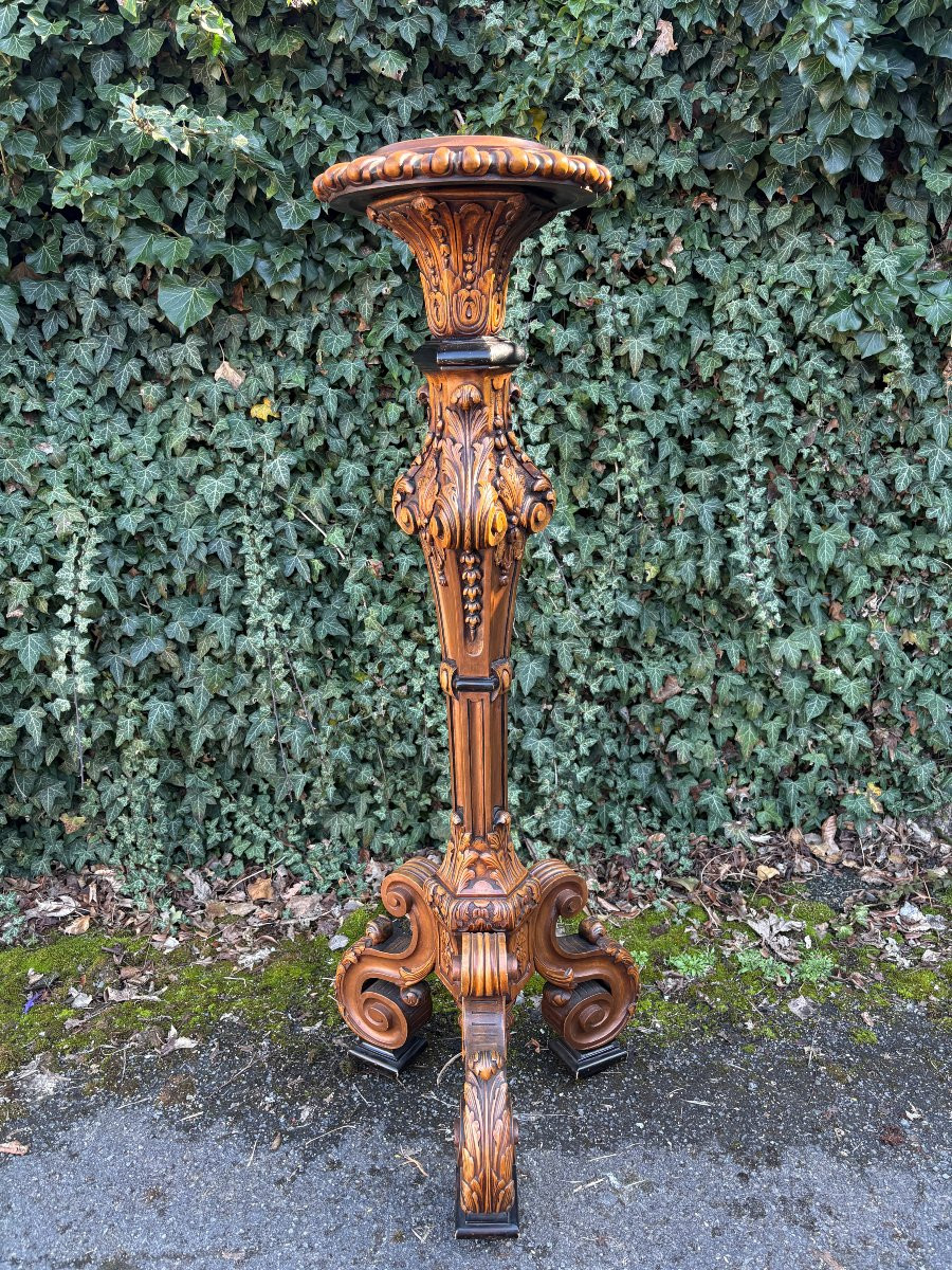 Regency Style 19th Century Walnut Grandtorchère-photo-4