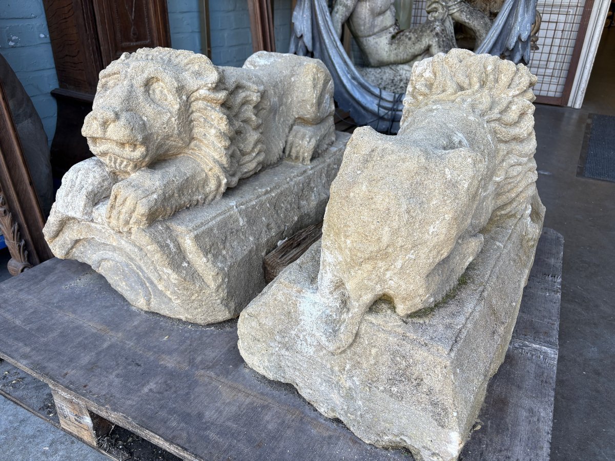 Paire de sculptures « lions couchés » en pierre de France du XVIIe siècle.-photo-4