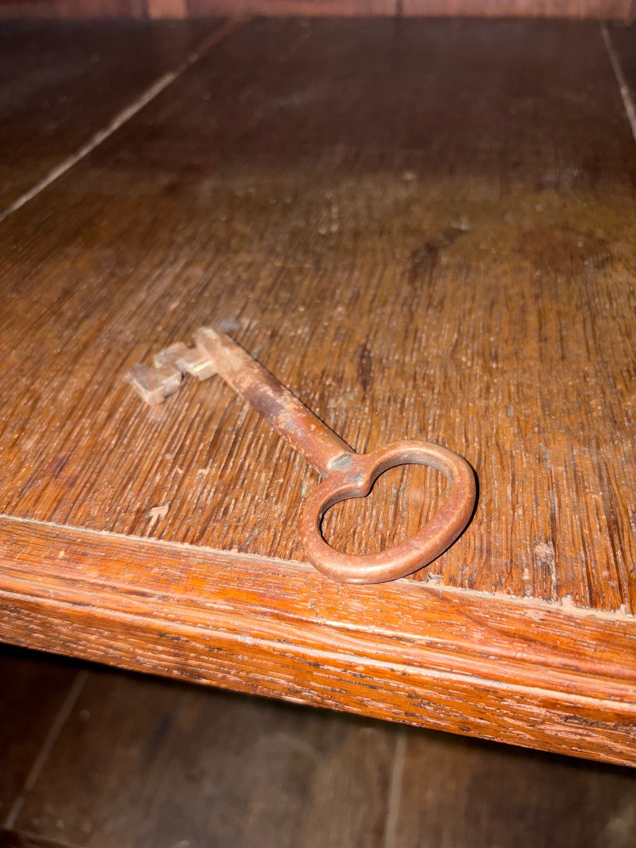 Early 17th-century Paneled Cabinet From The Netherlands -photo-5
