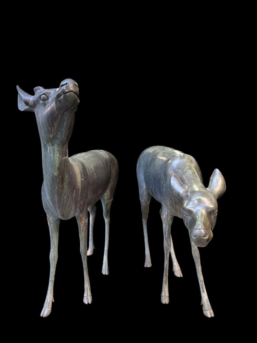 Très belle paire de cerfs en bronze du XIXe siècle.-photo-4
