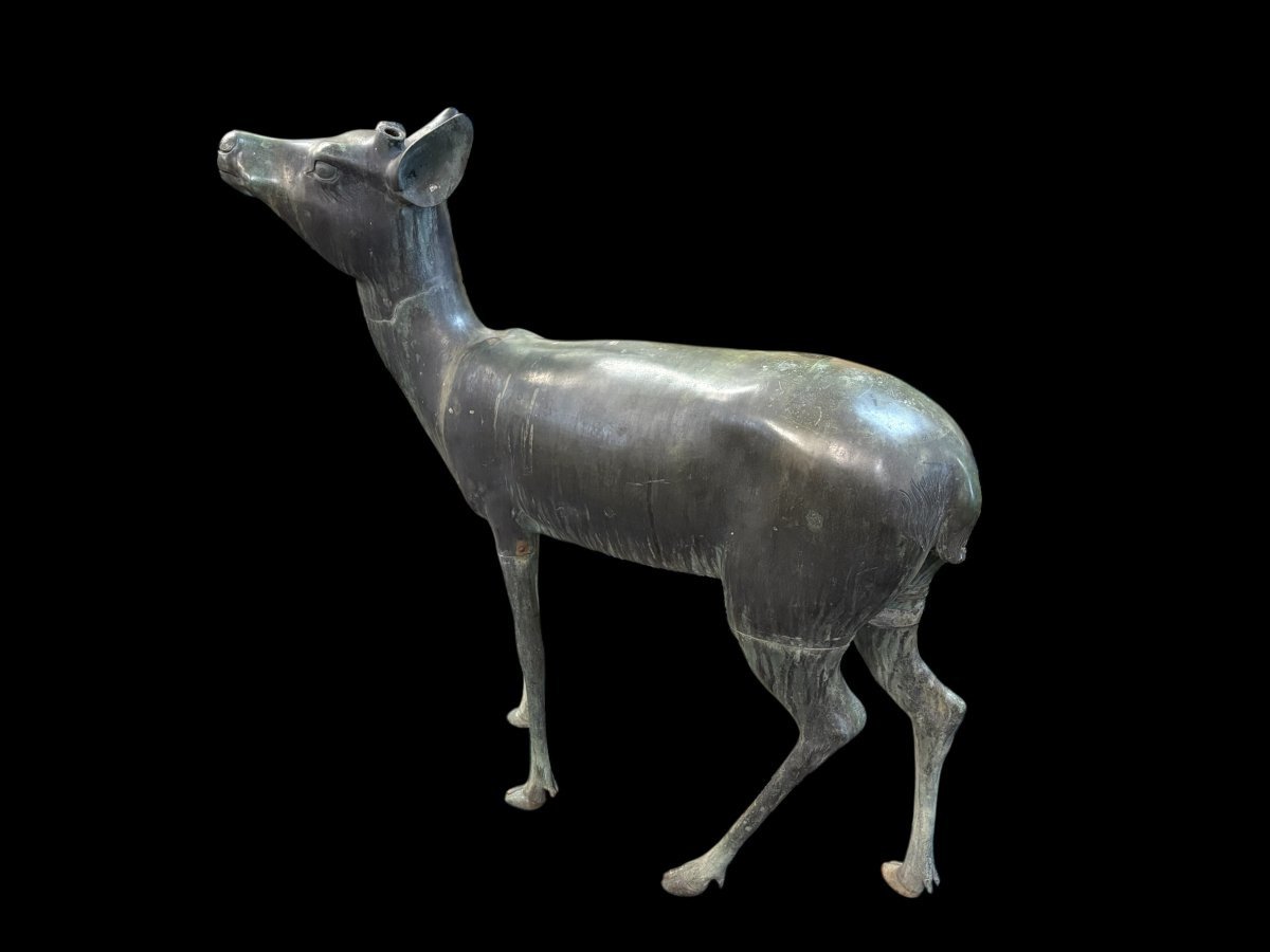 Très belle paire de cerfs en bronze du XIXe siècle.-photo-6