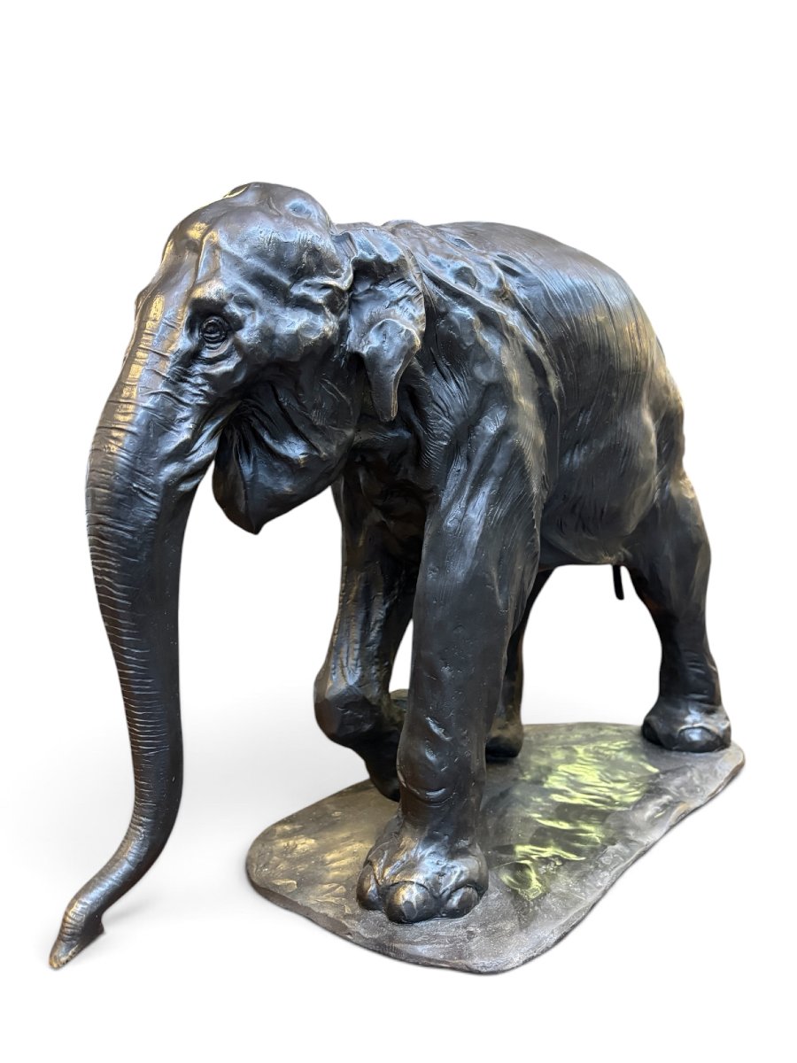 Large  Bronze Elephant (64 Cm), 20th-century.-photo-3
