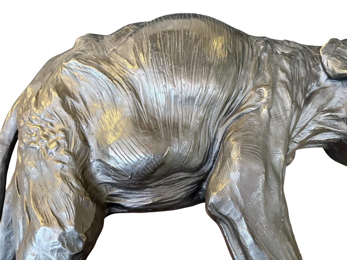 Large  Bronze Elephant (64 Cm), 20th-century.-photo-2