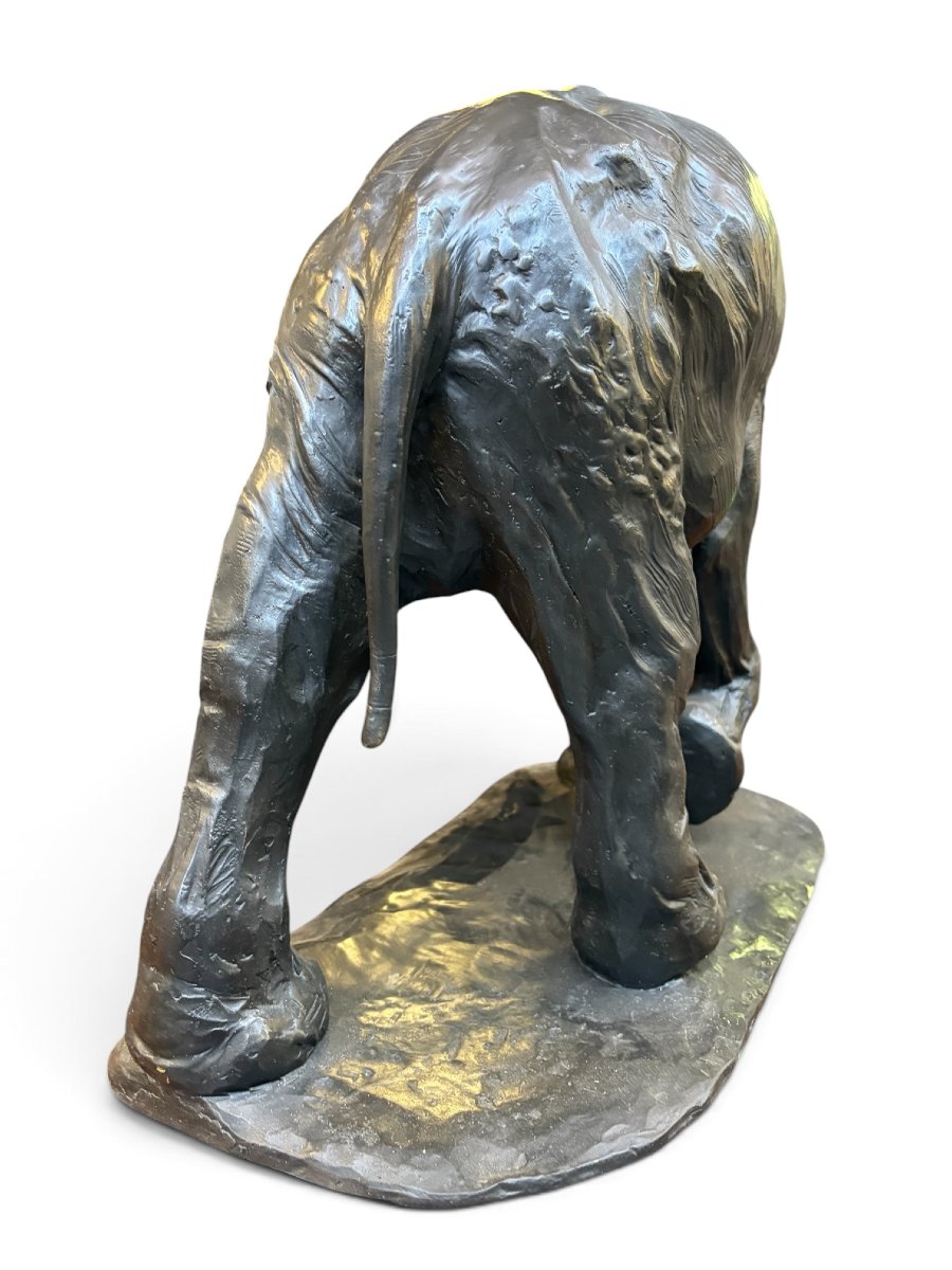 Large  Bronze Elephant (64 Cm), 20th-century.-photo-3